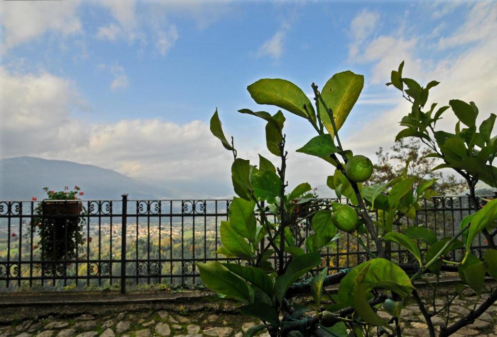 Casa Vacanze Le Muse Pieve Fosciana Exterior foto